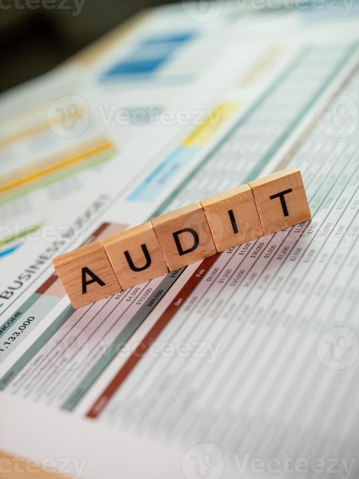 Business audit analysis insights for growth in corporate financial strategies photo