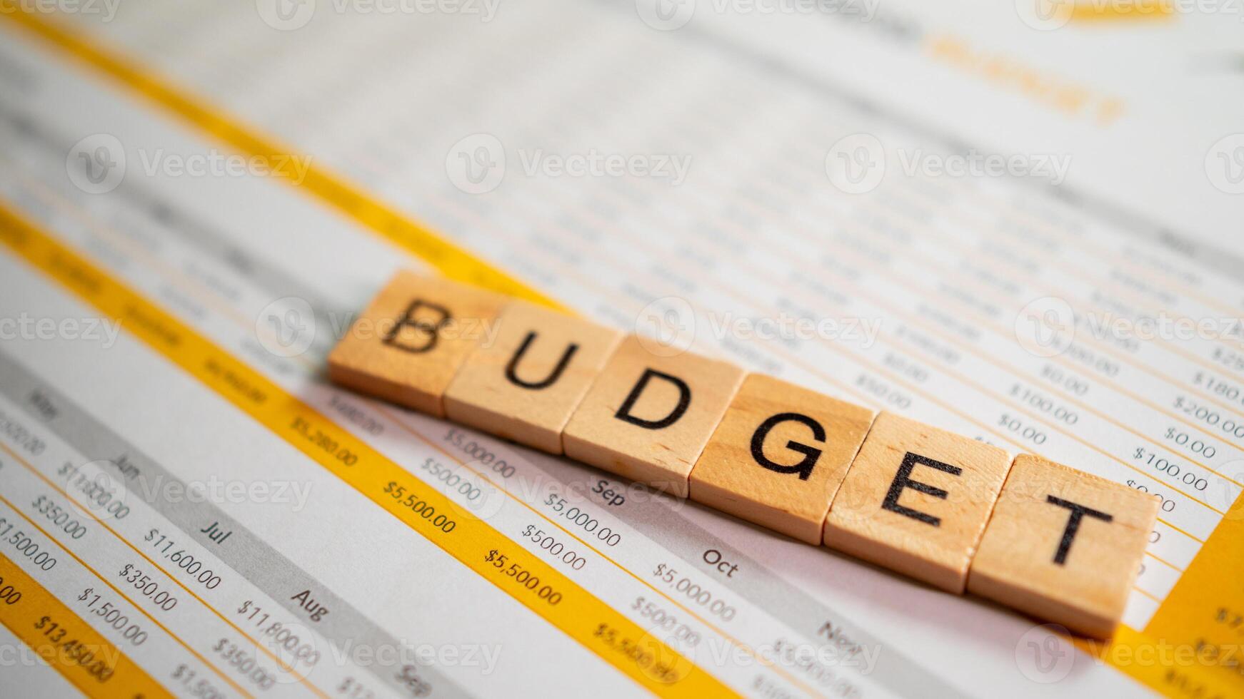 Financial growth through business budgeting professional infographic and analytical insights photo