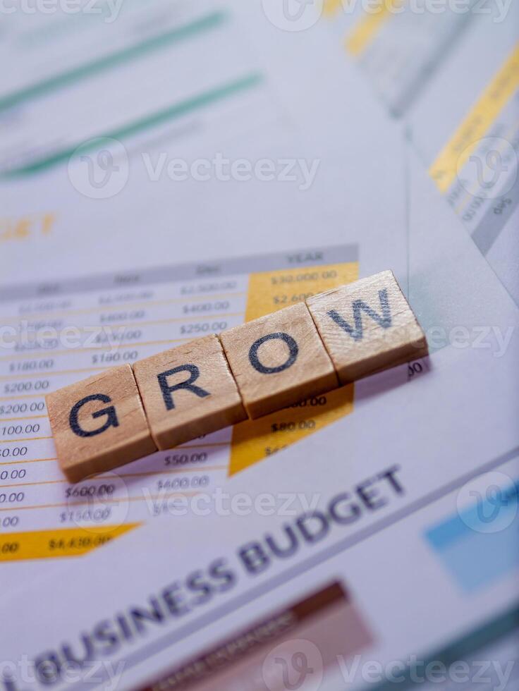 Business growth strategies financial planning overview office environment budget insights photo