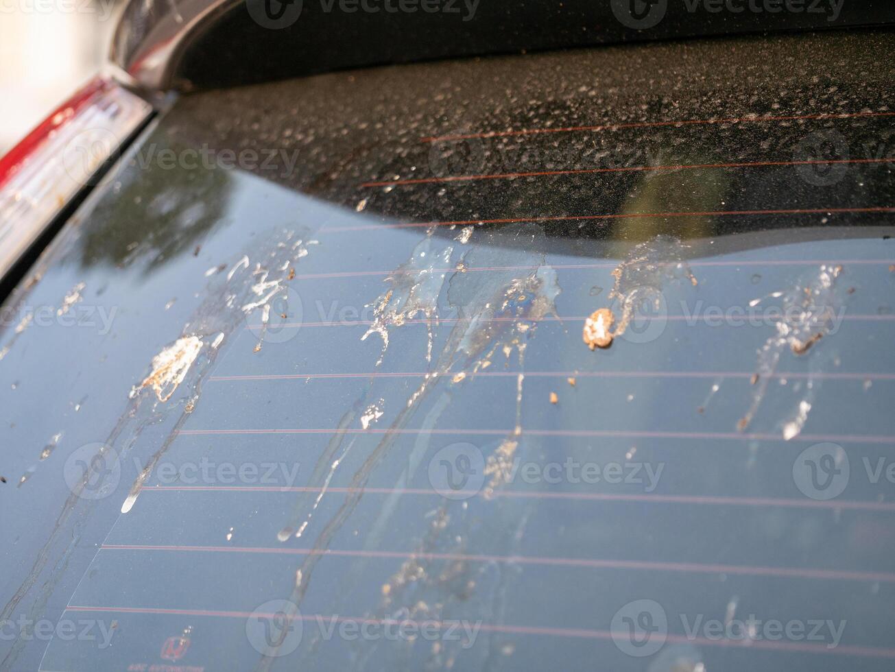 Car maintenance cleaning the rear window urban setting daytime close-up dirt removal photo
