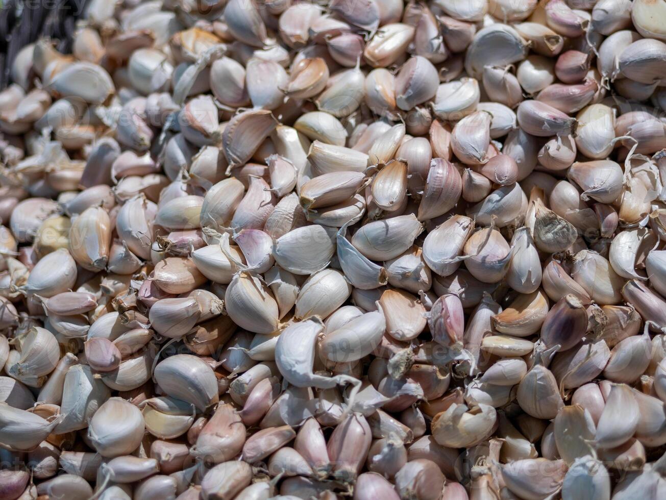 Harvesting garlic cloves local market food vibrant setting close-up view culinary delight photo