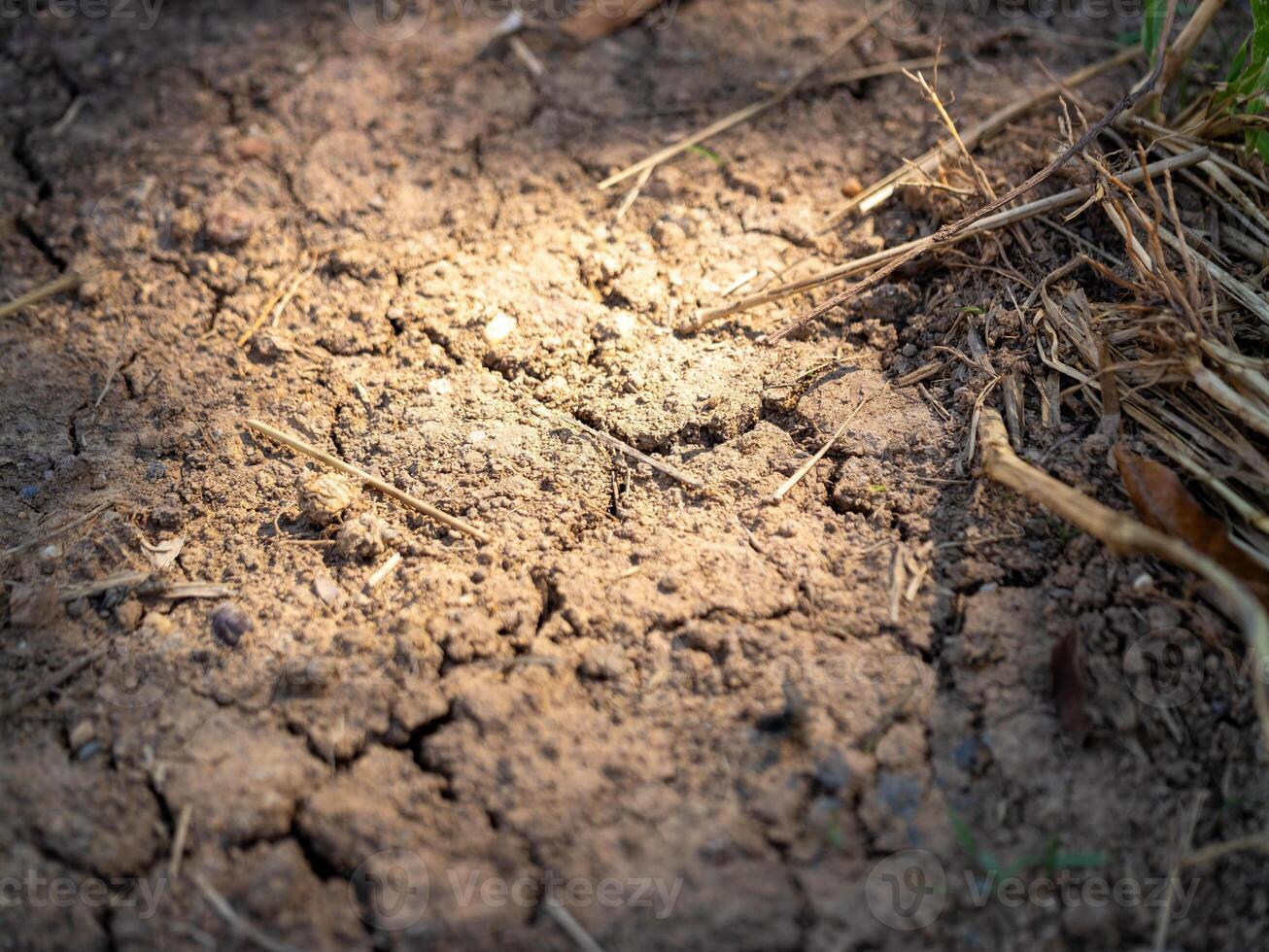 Promoting soil erosion awareness in agriculture a close-up view of nature's sustainability photo
