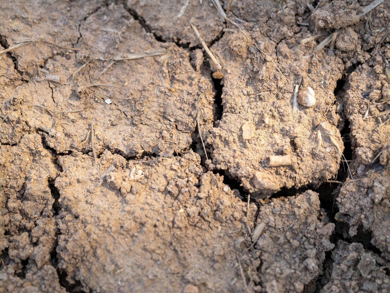 Soil health and sustainability awareness amid drought in agricultural environments photo