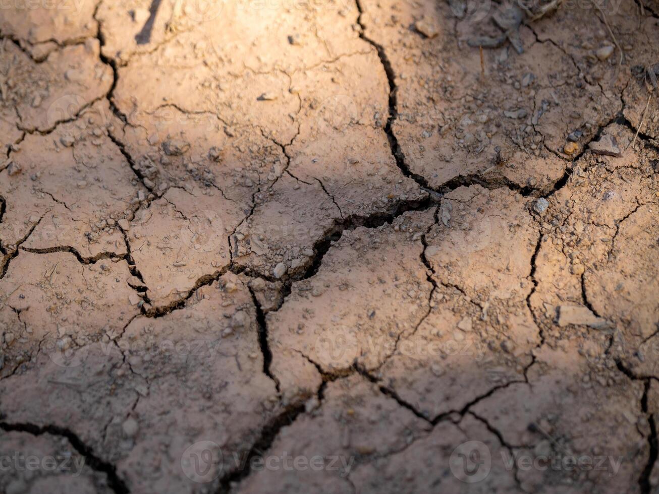 Close-up view of dried earth cracks the impact of climate change our landscape photo