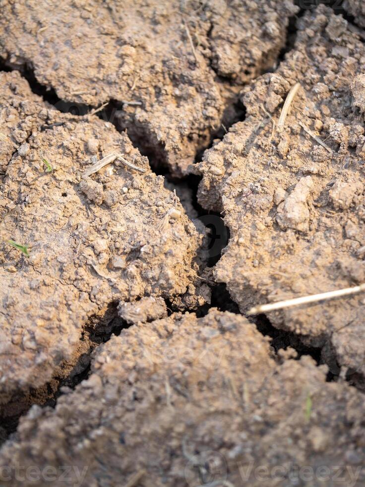 Drought impact agricultural soil farmland nature close-up environmental concerns photo
