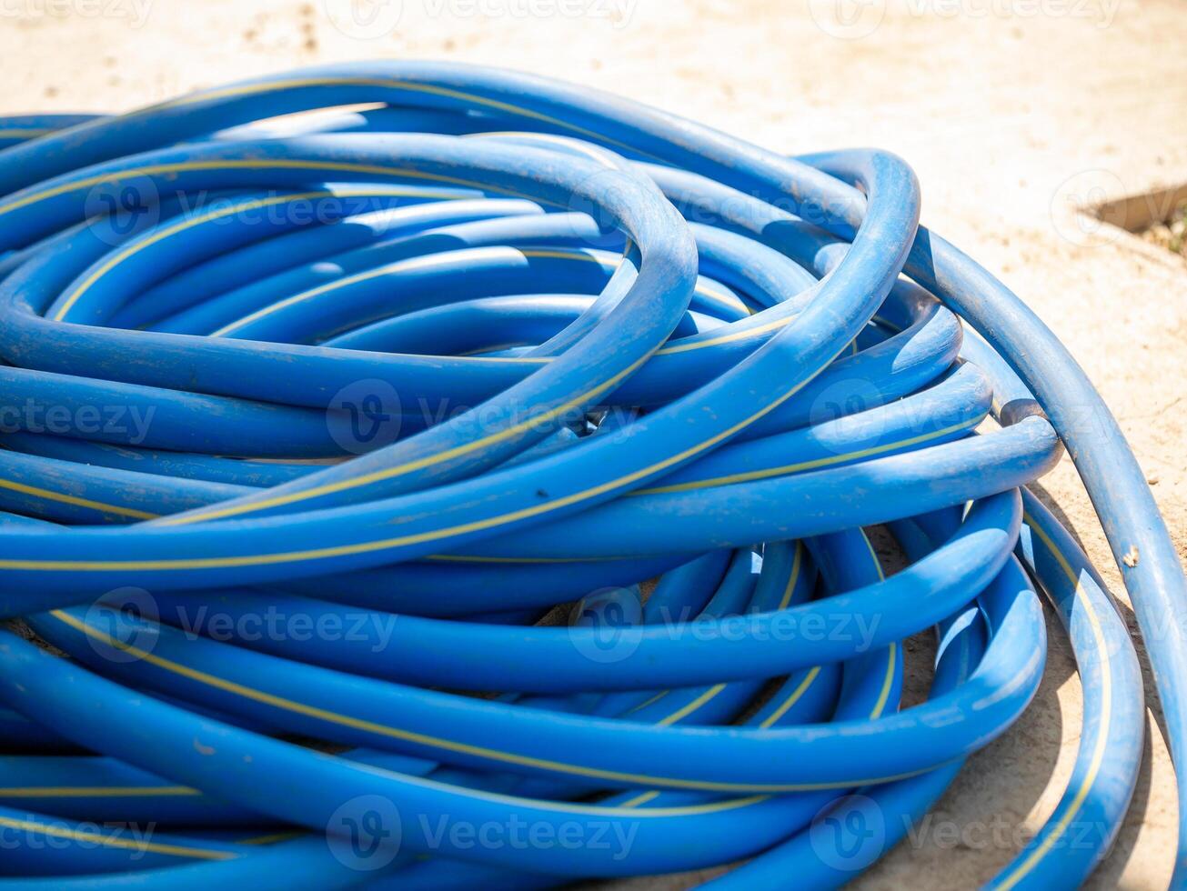 Watering the garden blue hose coiled ground outdoor setting close-up view gardening concept photo