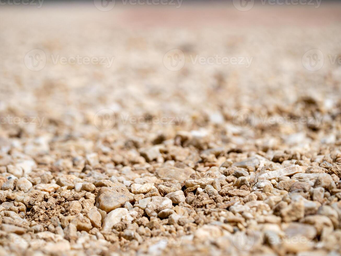 Exploring the dry landscape of rocks and soil desert environment close-up photo