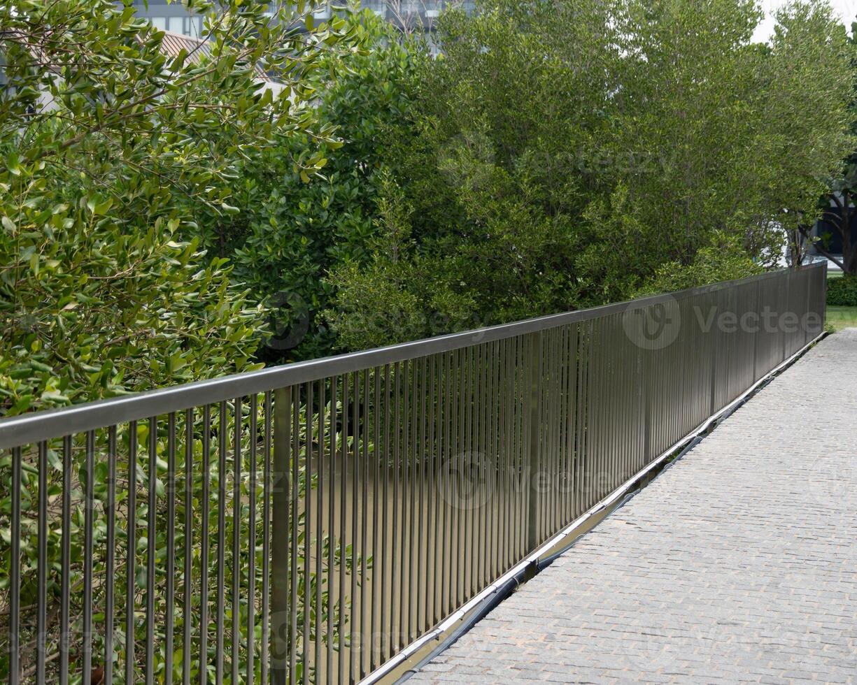A scenic stroll embracing nature's beauty urban parks from a ground-level perspective photo
