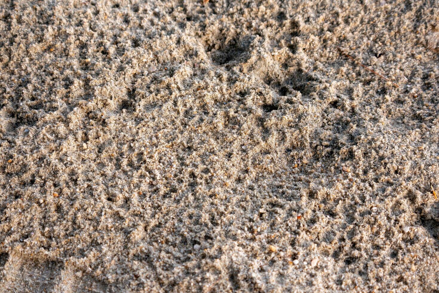 Natural sand patterns beach shoreline close-up coastal environment textural view nature's artwork photo