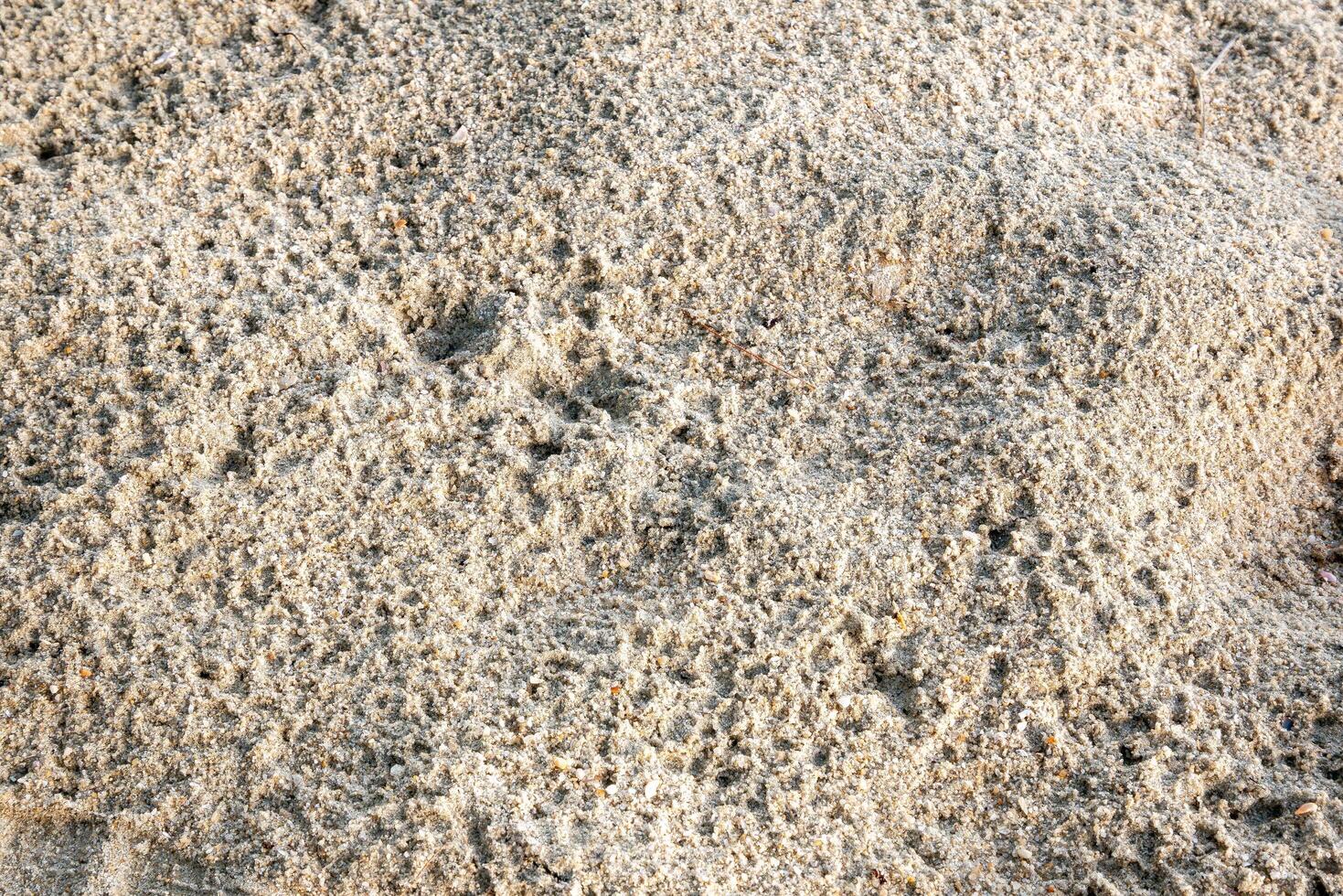 Sand patterns emerge coastal beach nature bright day close-up view photo