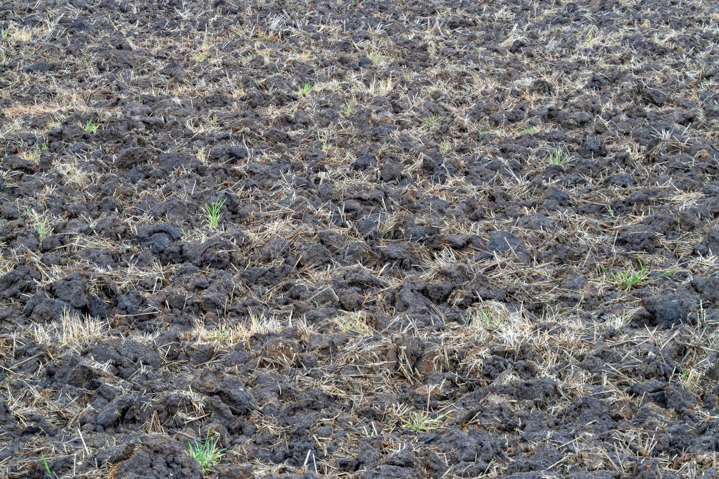 Cultivating fertile soil for agricultural growth in nature's vibrant environment photo