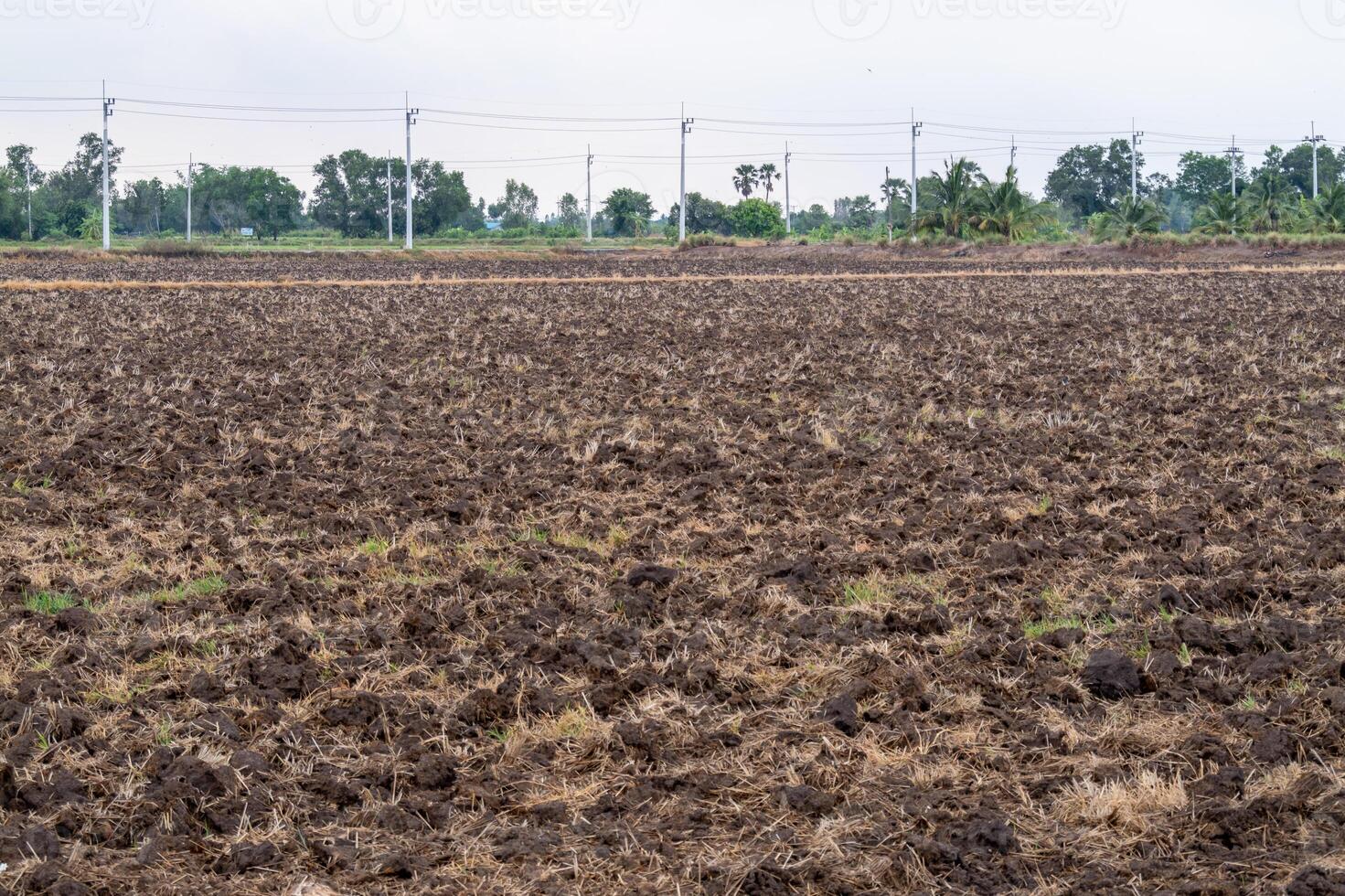 Farming activity preparation agricultural field landscape rural area wide angle soil management photo