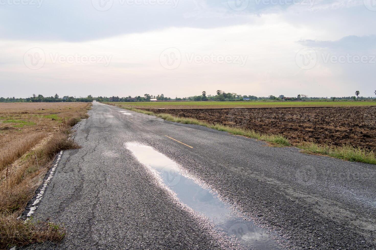 Lonely road surrounded by fields rural landscape open sky wide angle view photo