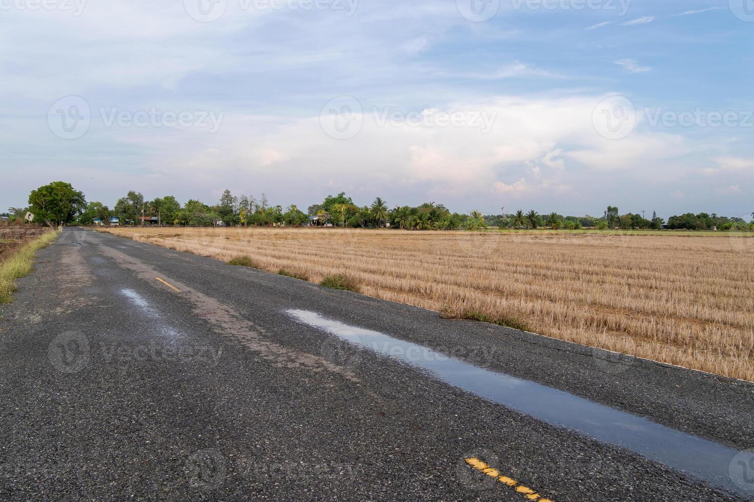 Rural road journey through vast rice fields indonesia landscape serene environment wide angle view photo