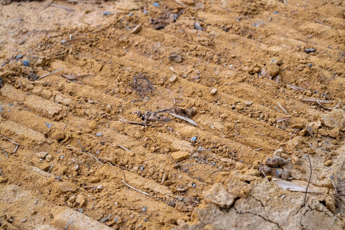 Earthy ground surface and site preparation for urban development and building foundations photo