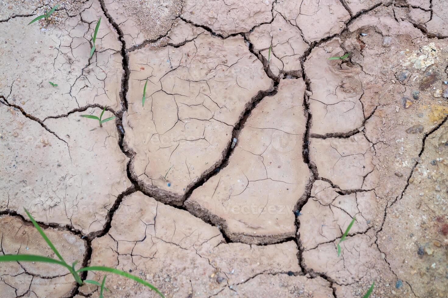 Soil cracking due to drought a close-up view of rural environmental challenges photo