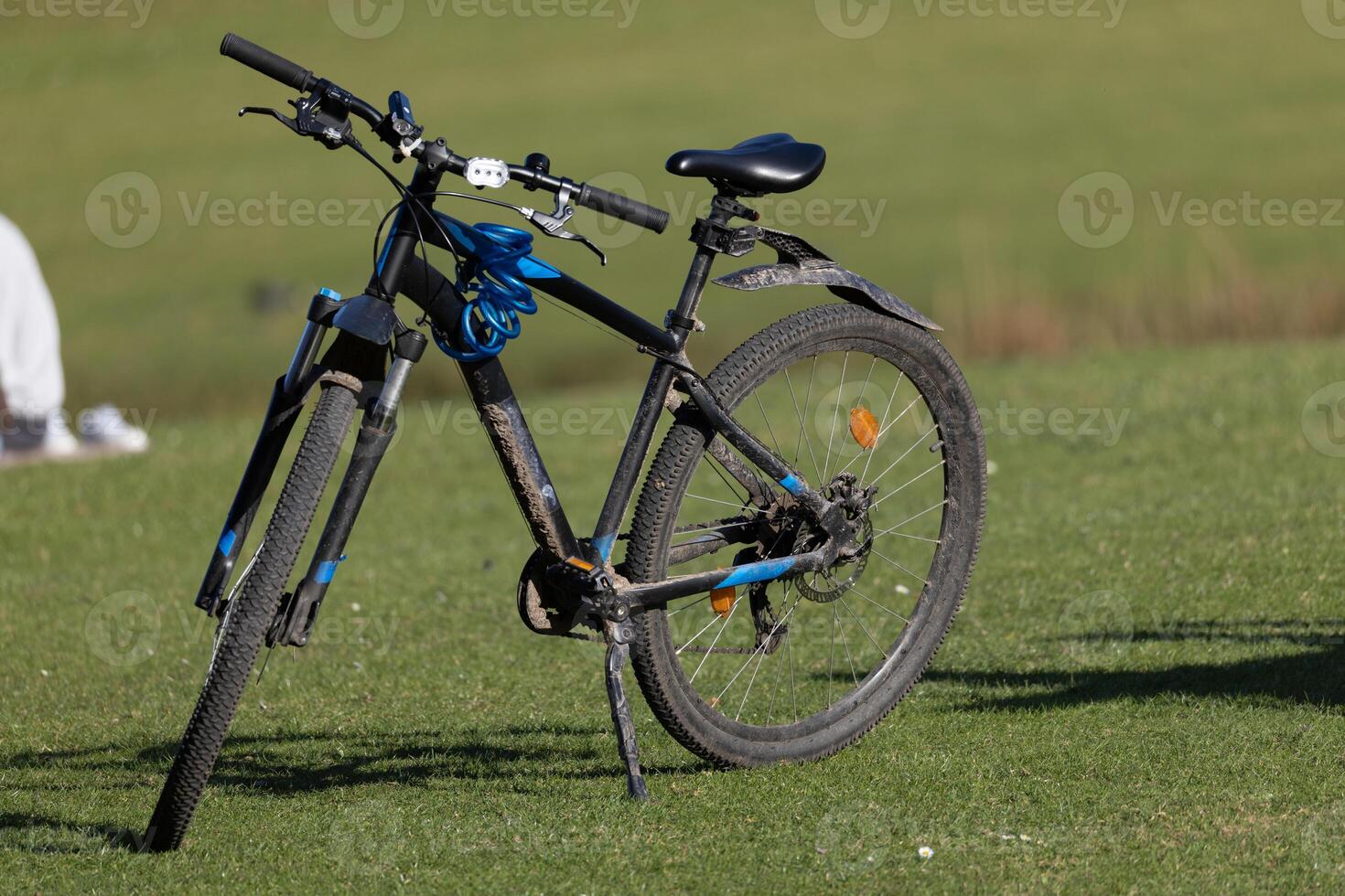 Mountain Bike on Grassy Field photo