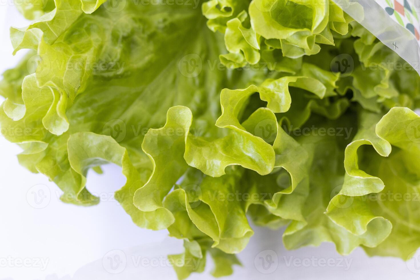 Fresh lettuce leaves on white background. Food photo