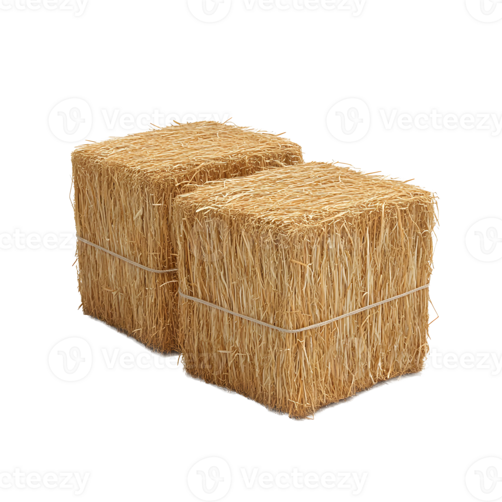 Two Golden Hay Bales on Transparent Background png