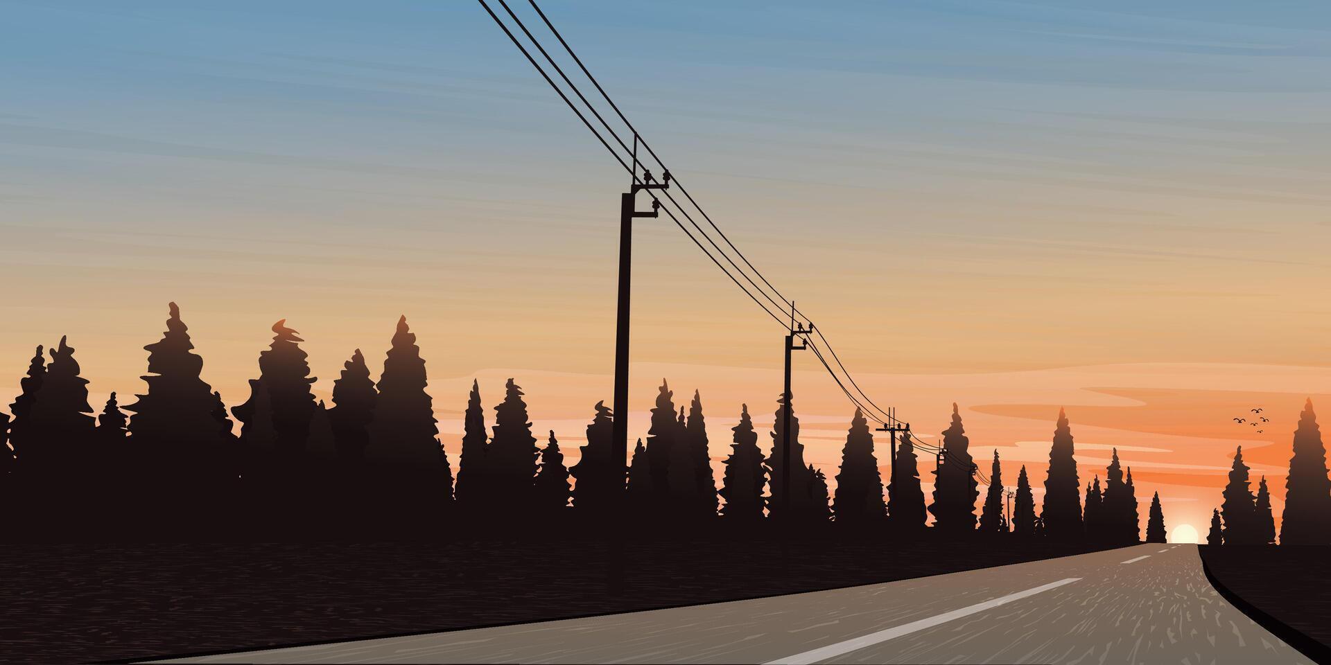 Sunset road with silhouetted trees vector