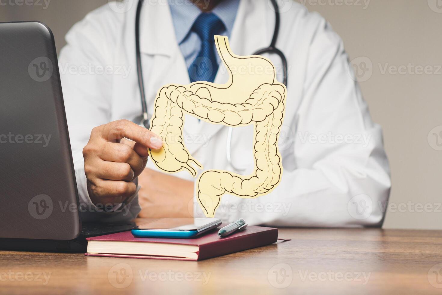 Close-up of a doctor in a white coat holding an intestine symbol while sitting at the table in the hospital photo