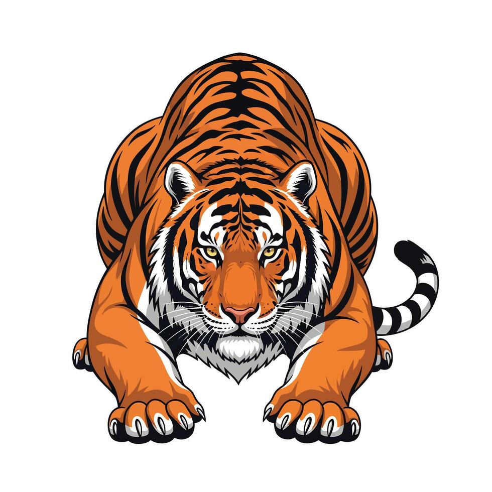 Orange Tiger Low Crawl Powerful Animal Illustration vector