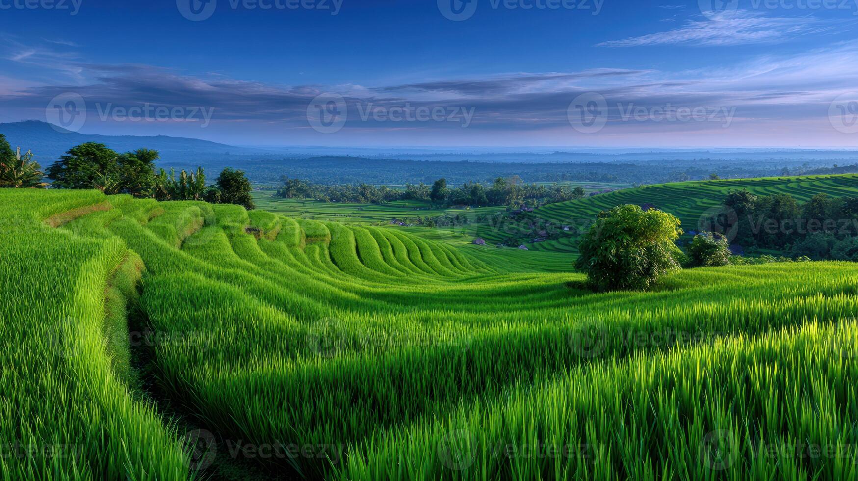 Verdant rice terraces create a stunning landscape showcasing agricultural harmony and natural beauty photo