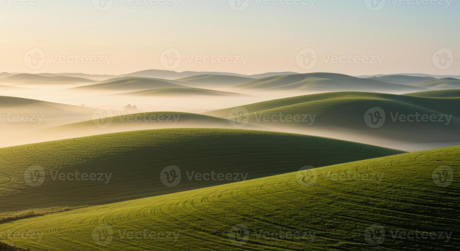Rolling green hills of Palouse Washington at sunrise with fog creating layers of natures beauty photo