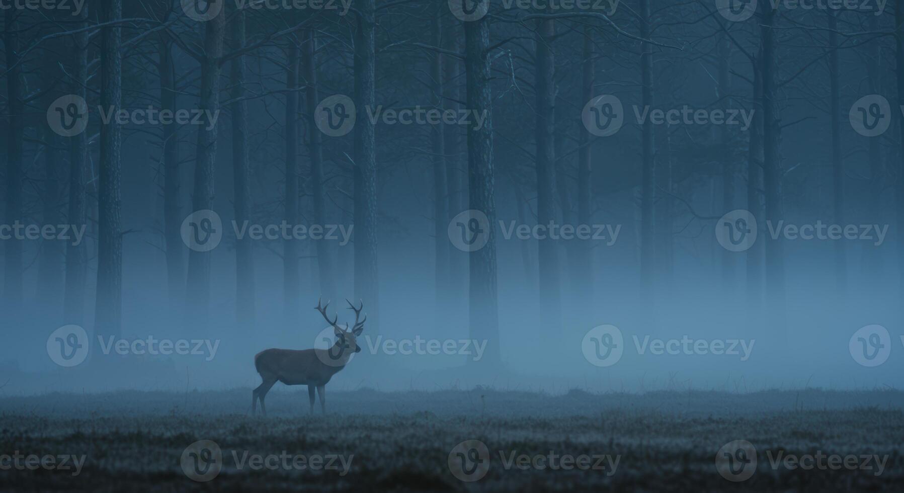 Majestic deer stands in misty forest creating an enchanting wildlife landscape photo