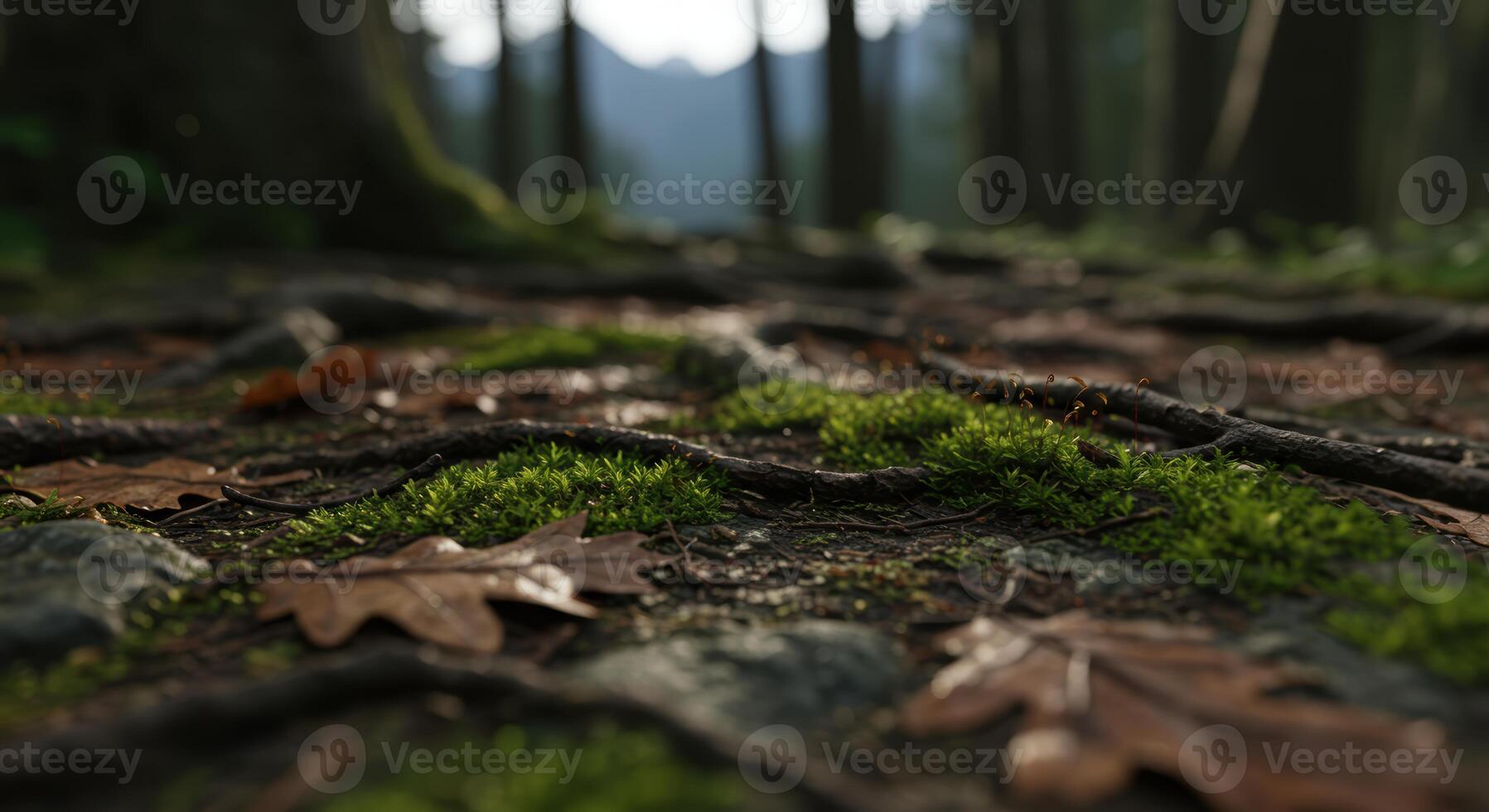 Lush green moss and fallen leaves create a tranquil scene on the forest floor promoting nature and sustainability photo