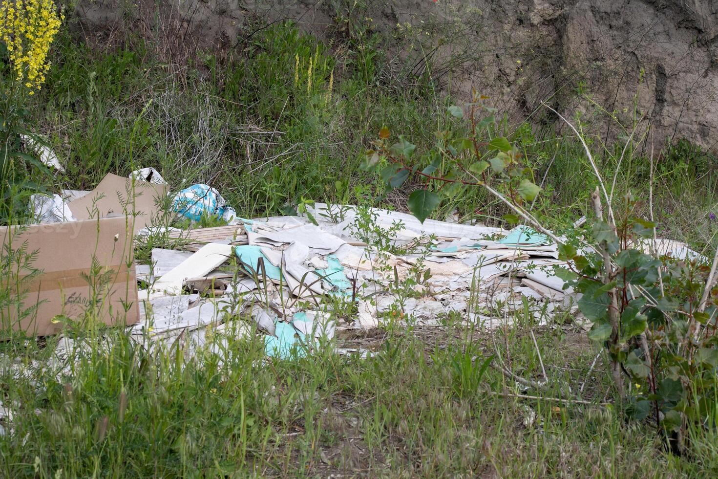 Overgrown wild thicket embraces forgotten debris, echoing Earth Days call to reclaim urban waste with eco friendly resilience photo