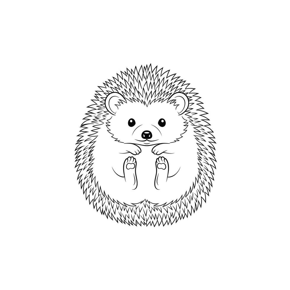 Cute Curled Hedgehog Line Drawing Black White line art vector