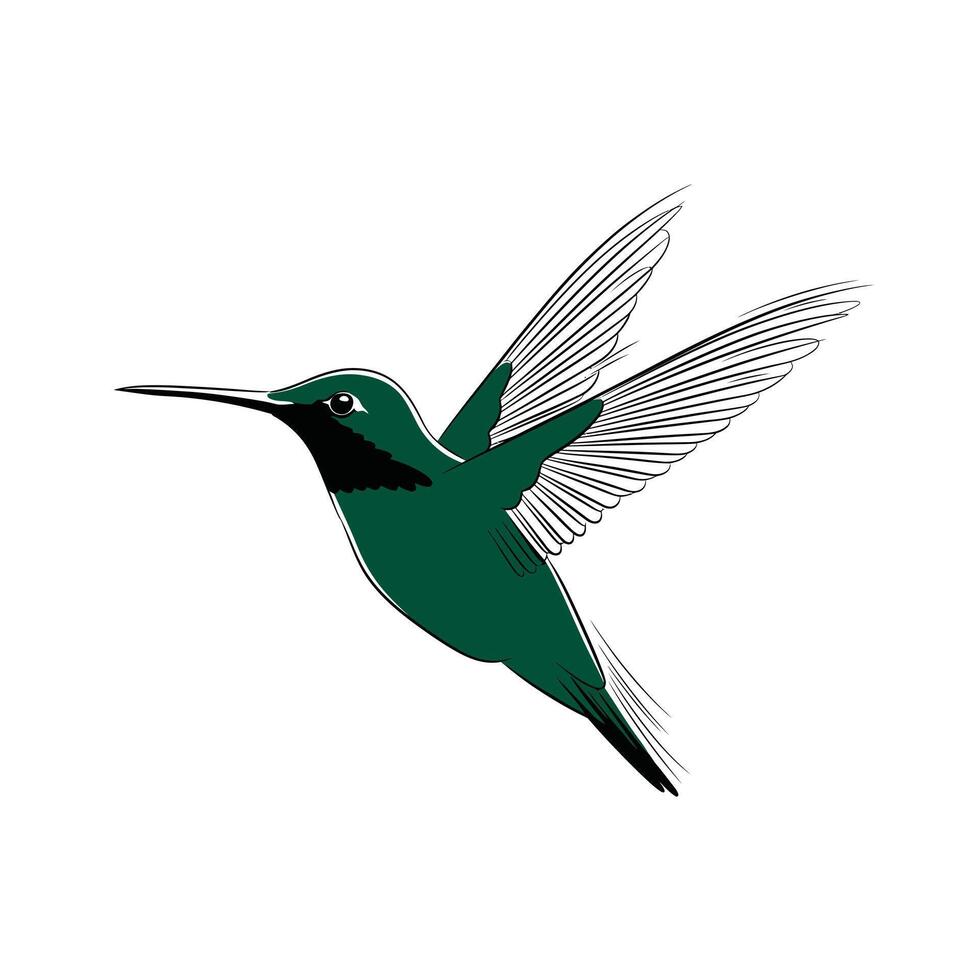 Emerald Hummingbird in Flight Elegant Line Art Illustration vector