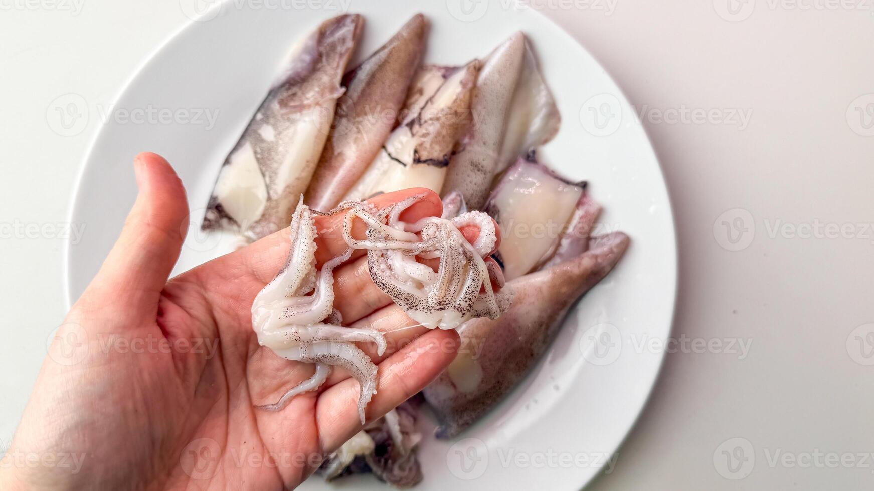 Hand delicately cradling raw squid, oceanic umami adventure, seafood feast anticipation, evoking Japans Day of the Sea essence photo