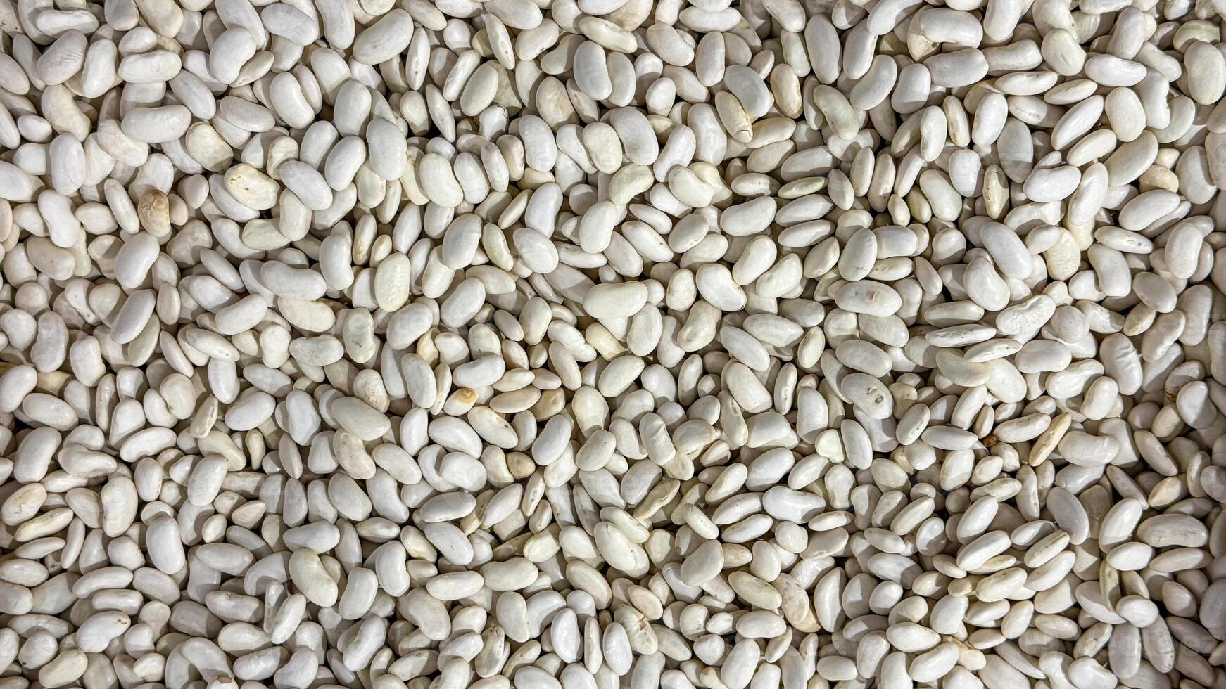 Heap of ivory hued beans evoke rustic harvest charm, perfect for Navaratris fasting feasts or niche culinary explorations photo