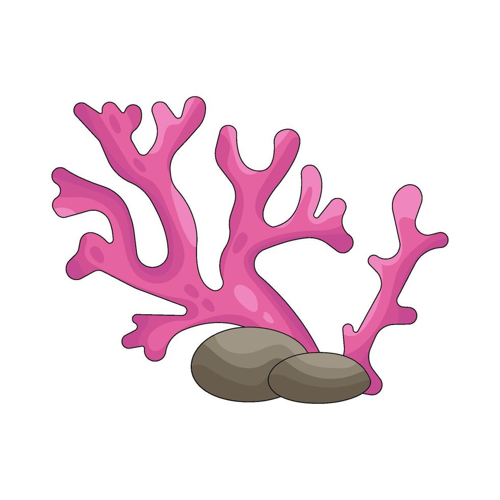 Pink coral with stones illustration vector