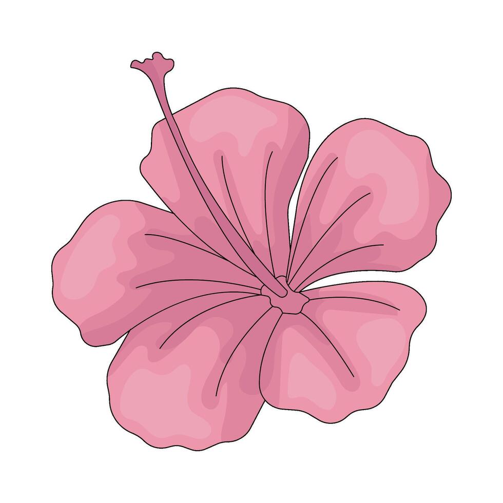Pink Hibiscus Flower vector