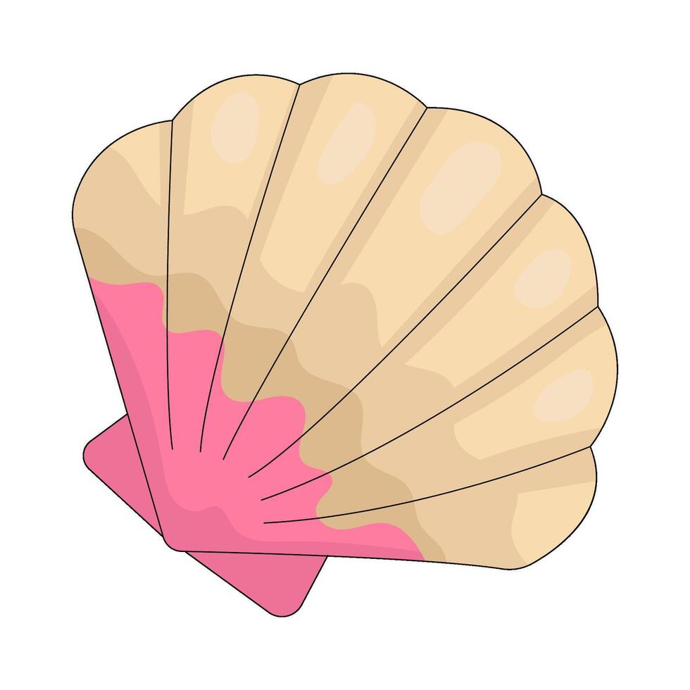 clam shell Illustration vector