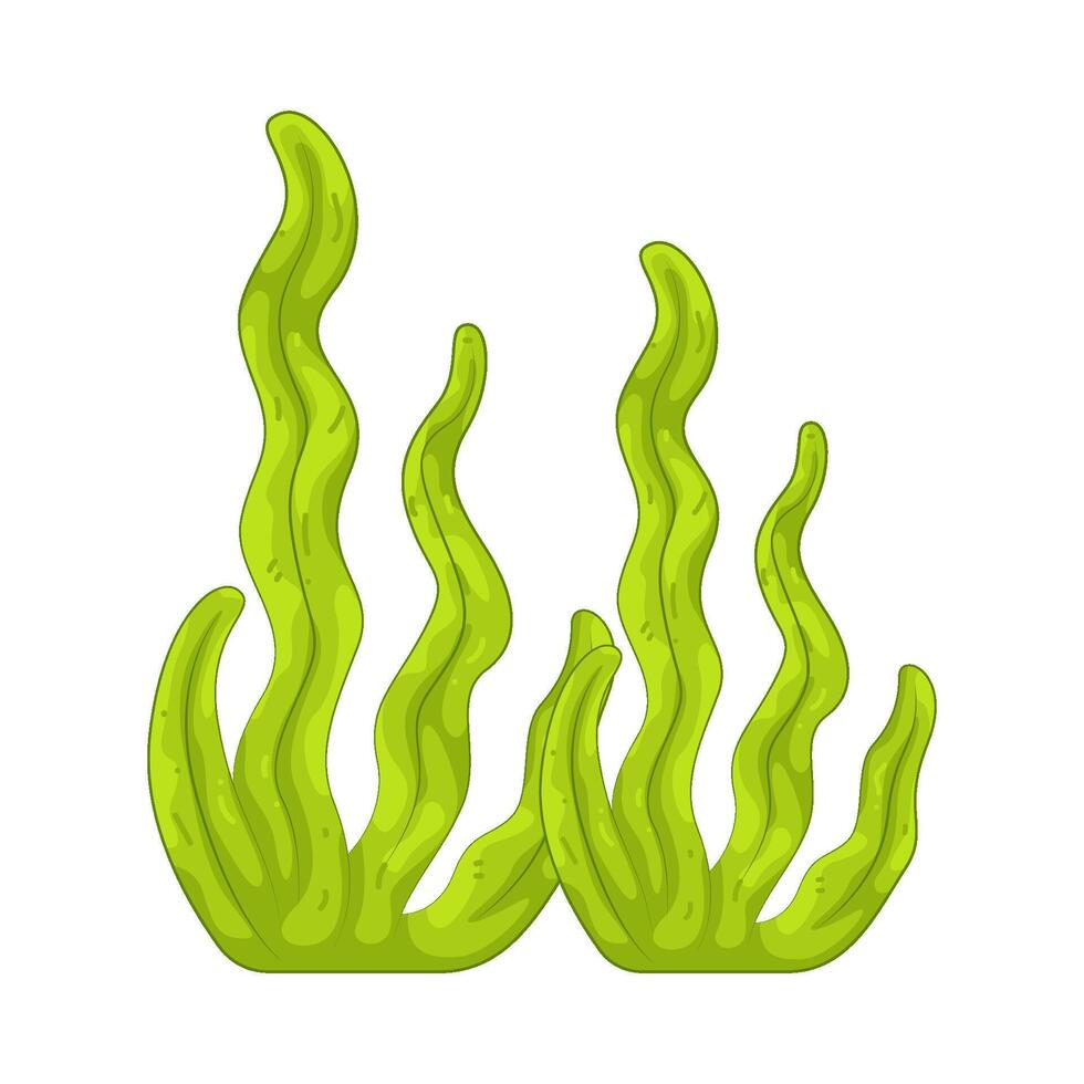 Green Seaweed illustration vector