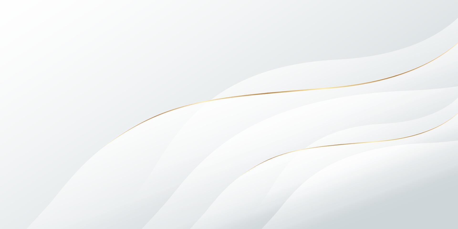 Luxury white background with golden curves. . Website template, certificate, cover and presentation vector