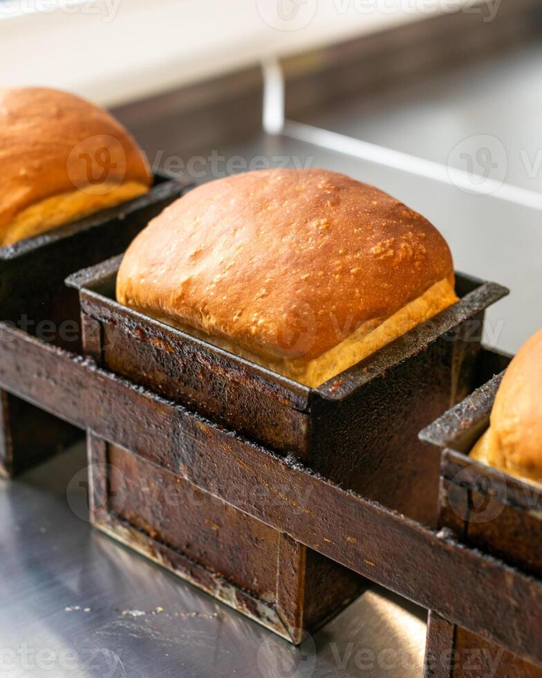 Golden loaves rise in rustic tins, evoking autumnal equinox rituals and the warm embrace of World Bread Day photo
