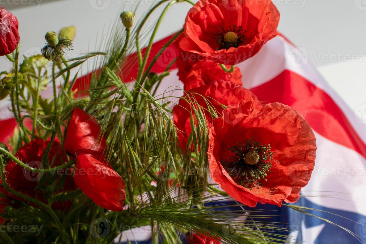 Crimson poppies sway beside a radiant American flag, reflecting Remembrance Days poignant embrace and Independence Days spirited zest photo