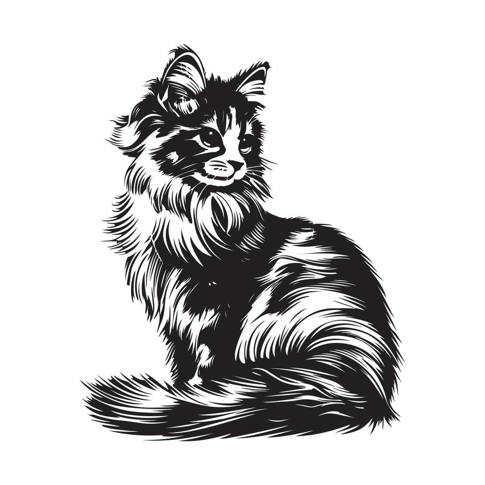 Black and white Lovely Fluffy Cat Image Isolated on white Background vector