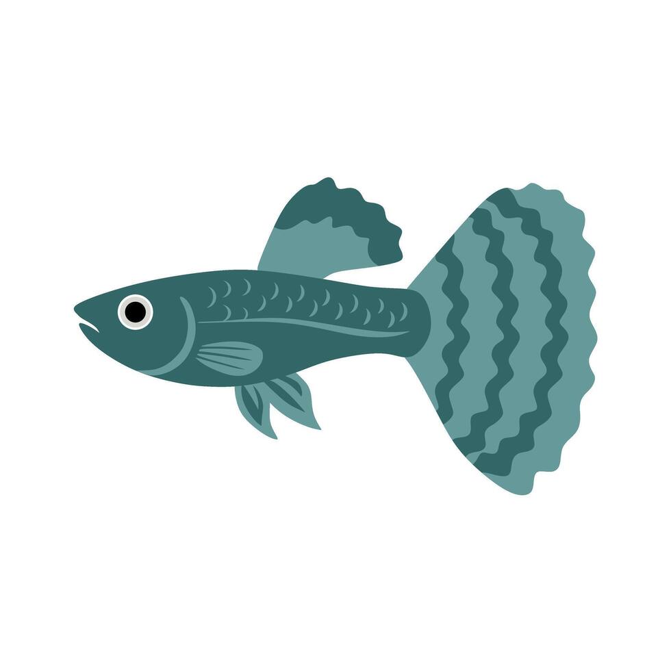 A dark teal guppy illustration with bold tail patterns and clean style, ideal for aquatic designs, branding, kids books, or nature-inspired graphics. vector