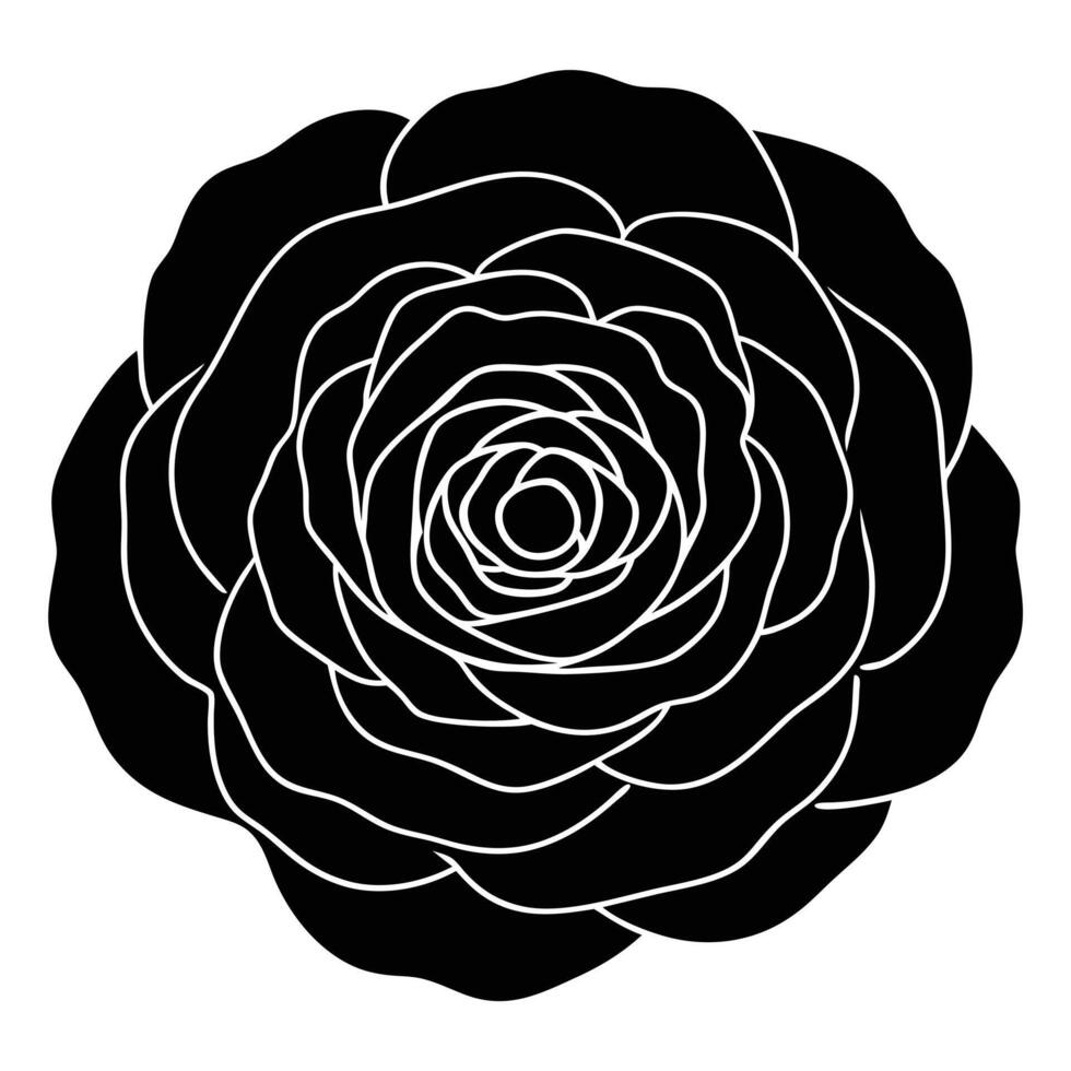 Black ranunculus flower icon with white outline on white background vector