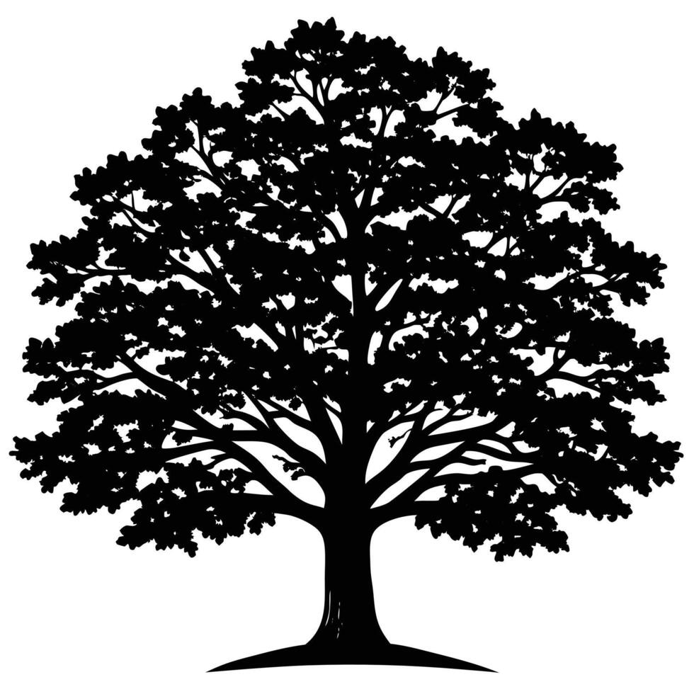 Majestic deciduous tree silhouette against a stark white backdrop black vector