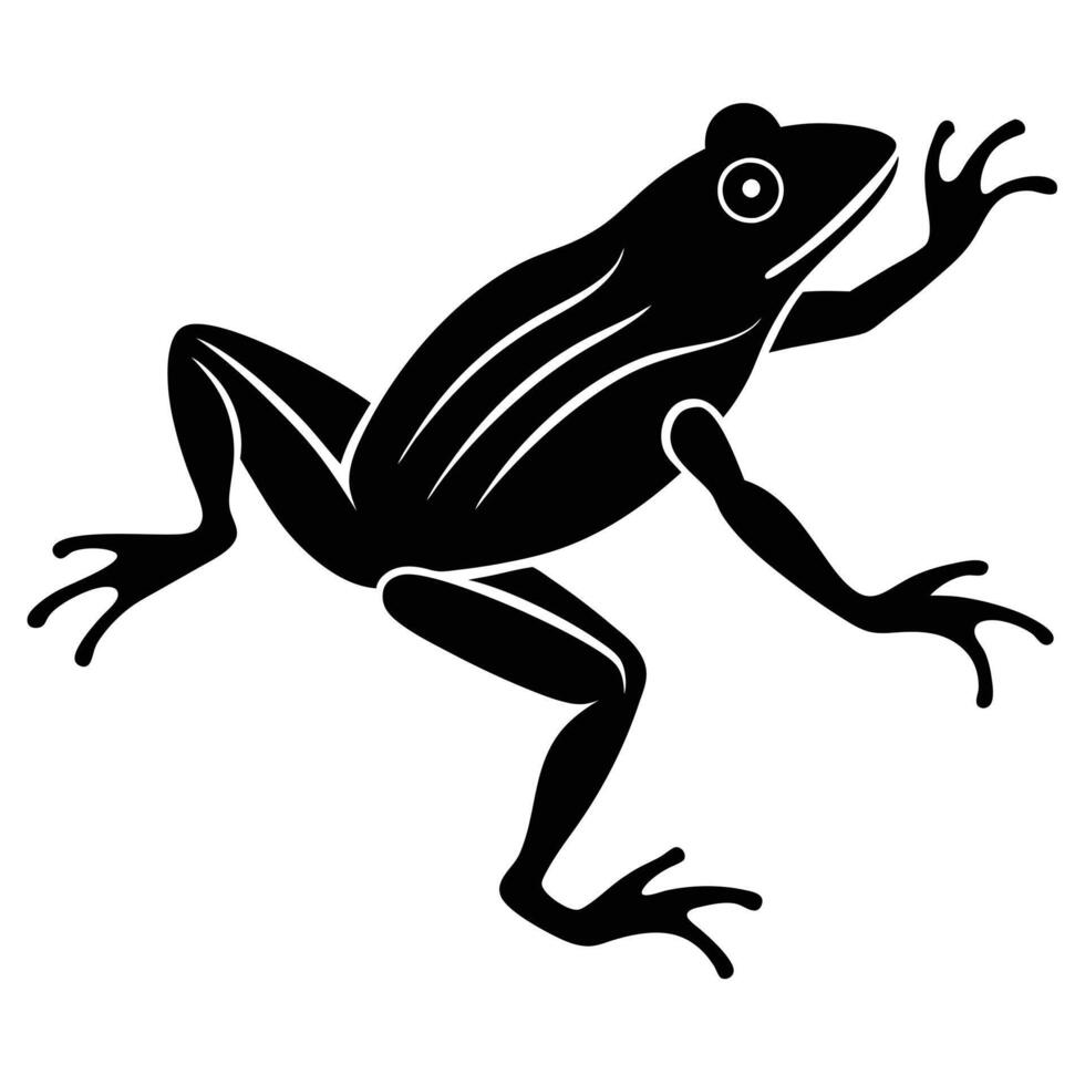 Black silhouette of a frog with outstretched legs and stripes amphibian white vector
