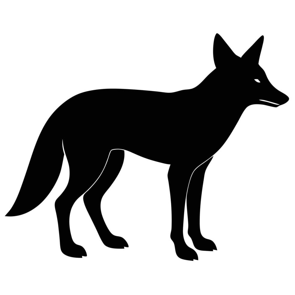 Black jackal silhouette standing profile view white background vector