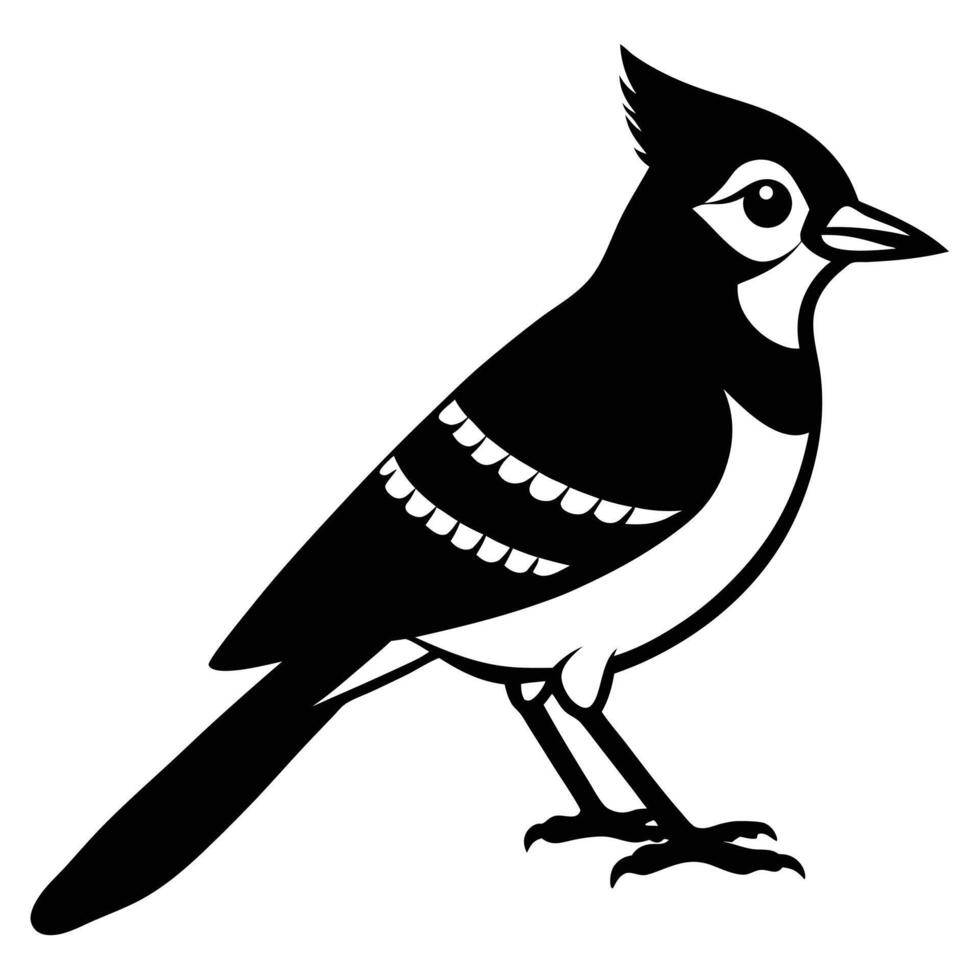 Black and white illustration of a blue jay with raised head feathers bird animal vector