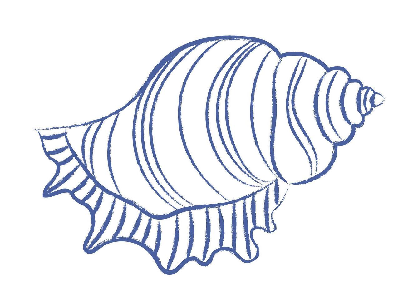 Pen drawn seashell on white background. Sea shell doodle with wavy pattern. vintage element vector